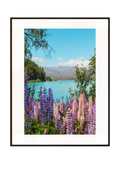 Somewhere in Tekapo, No. 1